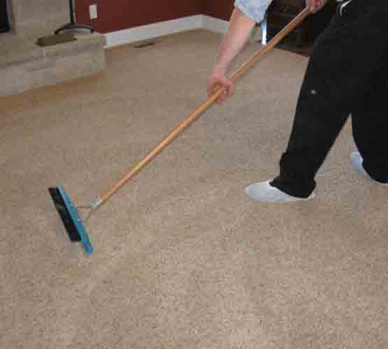 Local Carpet Cleaning Maylands